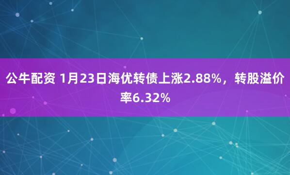 公牛配资 1月23日海优转债上涨2.88%，转股溢价率6.32%