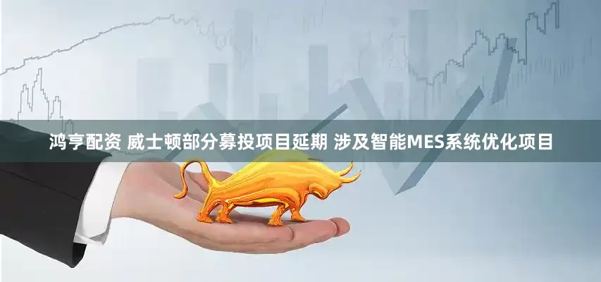 鸿亨配资 威士顿部分募投项目延期 涉及智能MES系统优化项目